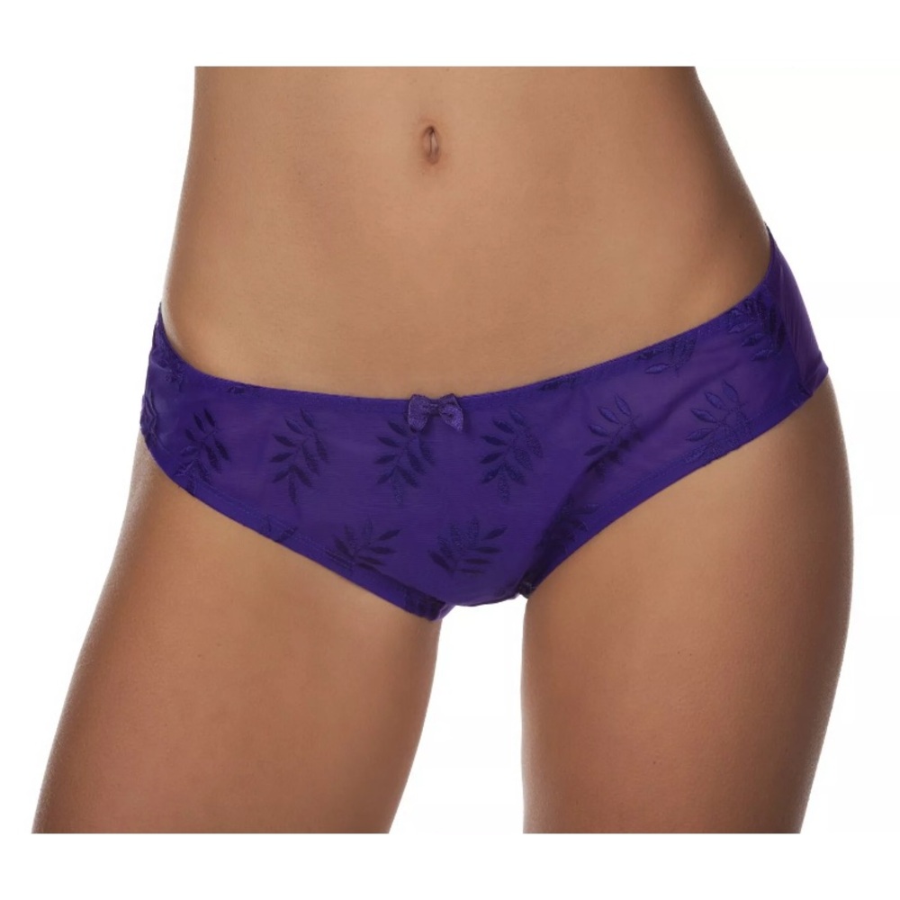 NWT Panache purple Tango bikini panty Medium
